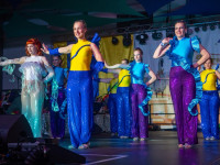 Karneval in Bad Doberan