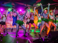 Karneval in Bad Doberan