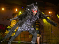 Karneval in Bad Doberan