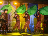 Karneval in Bad Doberan