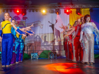 Karneval in Bad Doberan