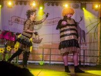 Karneval in Bad Doberan