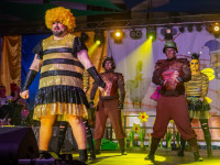Karneval in Bad Doberan