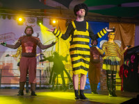 Karneval in Bad Doberan