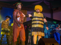 Karneval in Bad Doberan