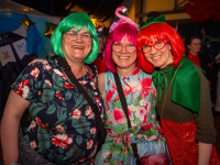 Karneval in Bad Doberan
