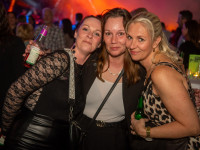 Goliaths UE30 Party Teil 1