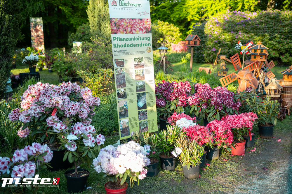 Rhododendron Fest