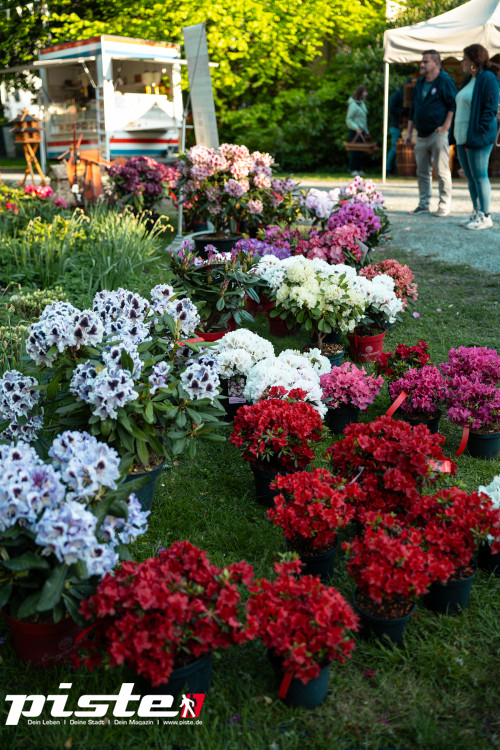 Rhododendron Fest