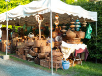 Rhododendron Fest