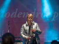 Rhododendron Fest
