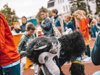 Wolfis Ballolympiade