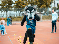Wolfis Ballolympiade