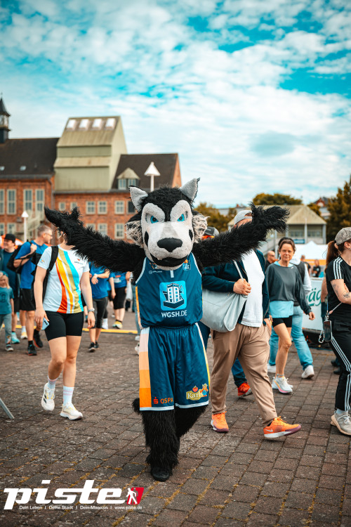 17. Rostocker Firmenlauf
