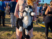 Airbeat One Donnerstag