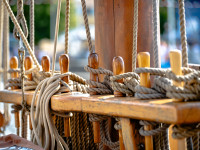 Hanse Sail Impressionen