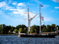 Hanse Sail Impressionen