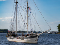 Hanse Sail Impressionen
