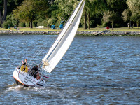 Hanse Sail Impressionen