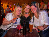 Mamma Mia Party