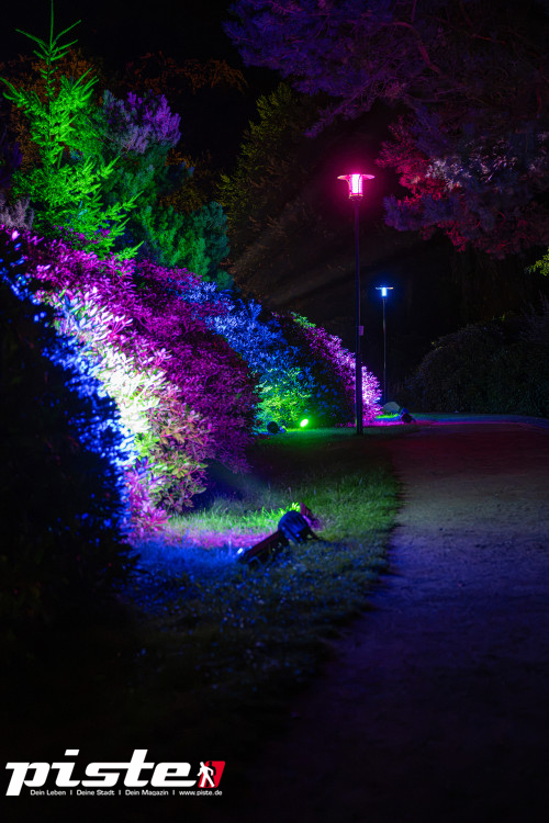 Nachts im Park