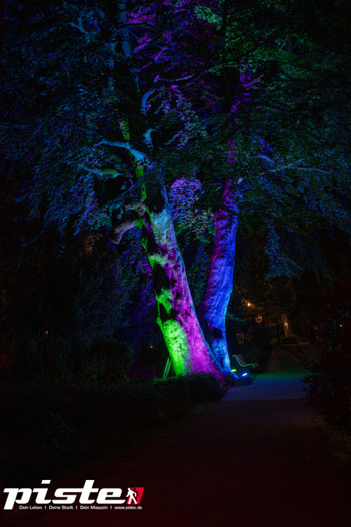 Nachts im Park