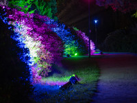 Nachts im Park