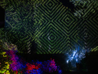 Nachts im Park
