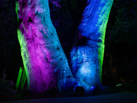 Nachts im Park