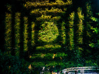 Nachts im Park