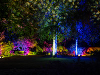 Nachts im Park