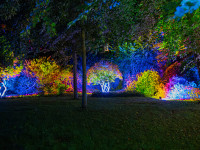 Nachts im Park