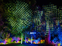 Nachts im Park