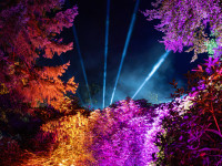 Nachts im Park