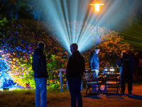 Nachts im Park