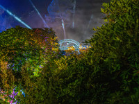 Nachts im Park