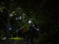 Nachts im Park