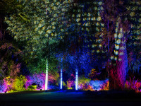 Nachts im Park