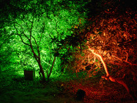 Nachts im Park