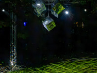 Nachts im Park