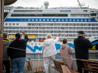Cruise Sail