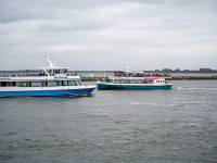 Cruise Sail