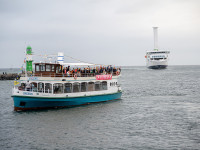 Cruise Sail