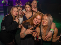 Houserasten meets OBS