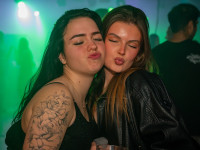 Houserasten meets OBS