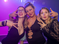 Houserasten meets OBS