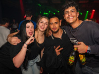 Houserasten meets OBS