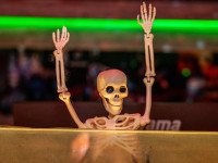 Halloween Party