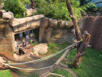 Zoo