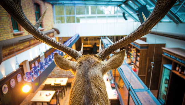 Brauhaus Trotzenburg